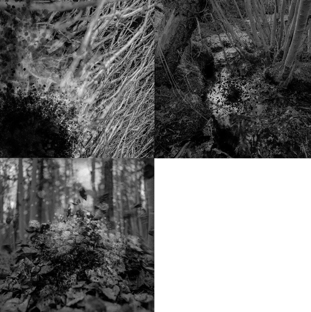 Sketch for an instalation